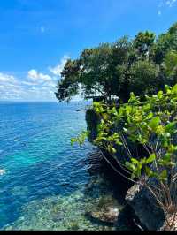 Bohol: A Tropical Paradise of Natural Wonders and Wildlife
