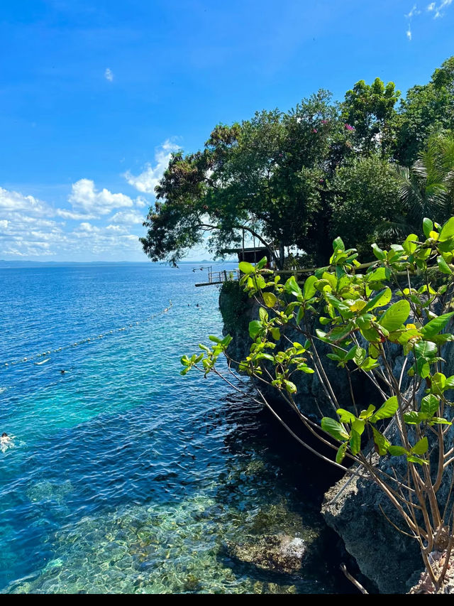 Bohol: A Tropical Paradise of Natural Wonders and Wildlife