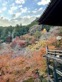 【奈良　長谷寺】