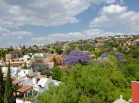 San Miguel's stunning skyline 
