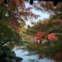 姬路城西御屋敷跡庭園〔好古園〕紅葉絕景  