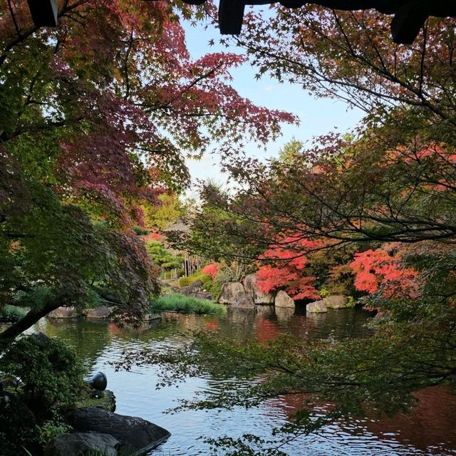 姬路城西御屋敷跡庭園〔好古園〕紅葉絕景  