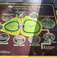 สู่โลกยุคดึกดำบรรพ์ที่หุบป่าตาด🌴🌴🌴