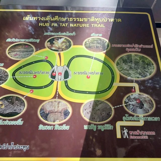 สู่โลกยุคดึกดำบรรพ์ที่หุบป่าตาด🌴🌴🌴