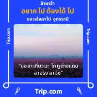 The chalet cafe' คาเฟ่กลางหุบเขา