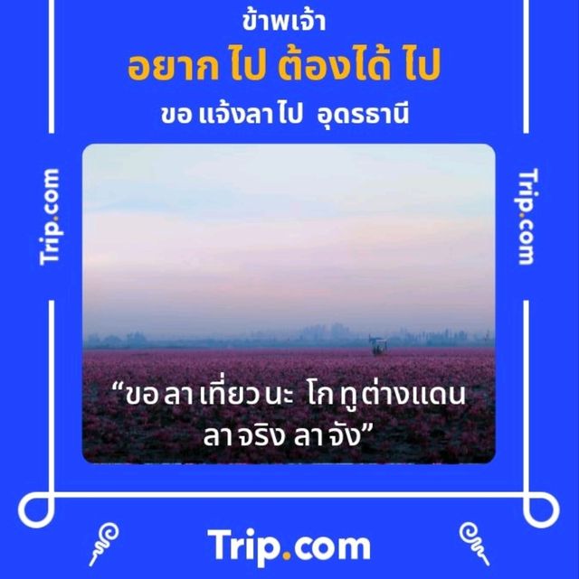 The chalet cafe' คาเฟ่กลางหุบเขา