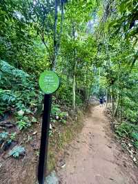 Into the Wild: A Breathtaking Escape at KL East Park