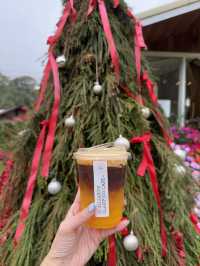 🎄22 Aquarius Glamping Cafe คาเฟ่บนดอยอินทนนท์