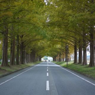 The Charm of Takashima City, Shiga Prefecture