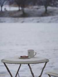 (실시간) 여기가 바로 K삿포로, 합포로 카페 피어라입니다❄️🩵