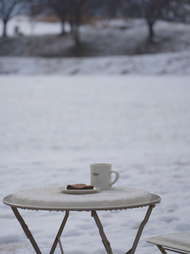 (실시간) 여기가 바로 K삿포로, 합포로 카페 피어라입니다❄️🩵