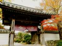 山口🇯🇵龍福寺