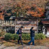 桑田神社 可能是龜岡唯一景點