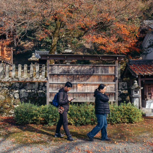 桑田神社 可能是龜岡唯一景點