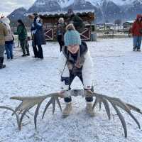 Reindeer park in Anchorage