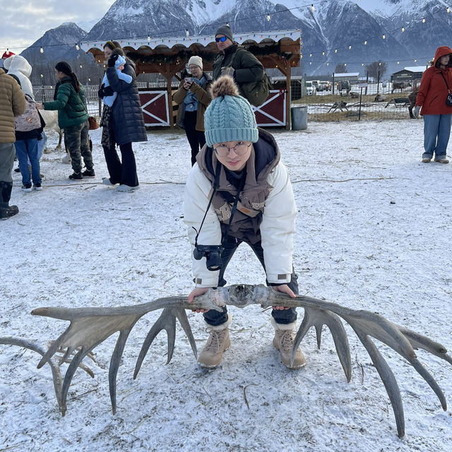 Reindeer park in Anchorage