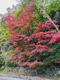 有馬温泉推薦”太閤之湯(太閤の湯)”，巨大的溫泉遊樂園