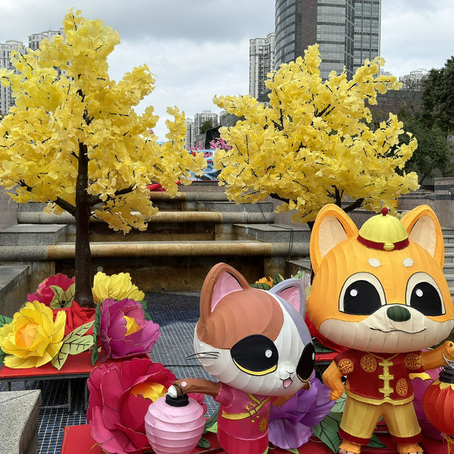 🌸 探索天水圍的櫻花之旅：感受春天的魅力 🌼