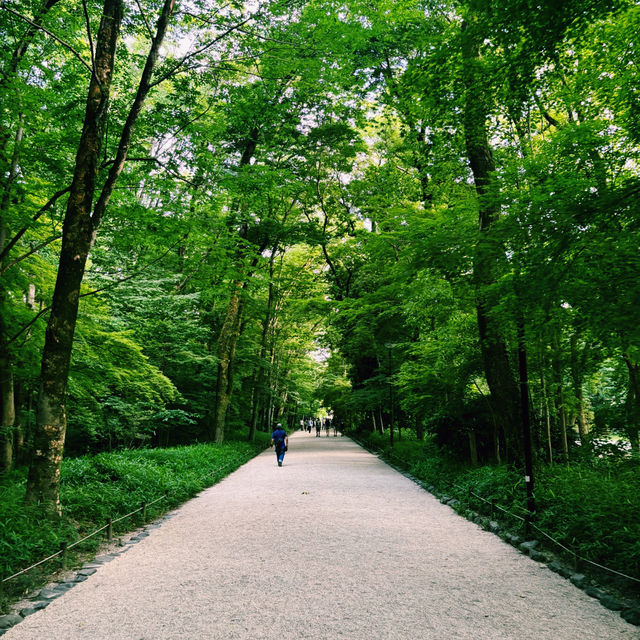  京都鴨川午間遊記：懶洋洋的舒適時光🏖️