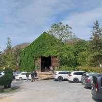 The Birder's Lodge 