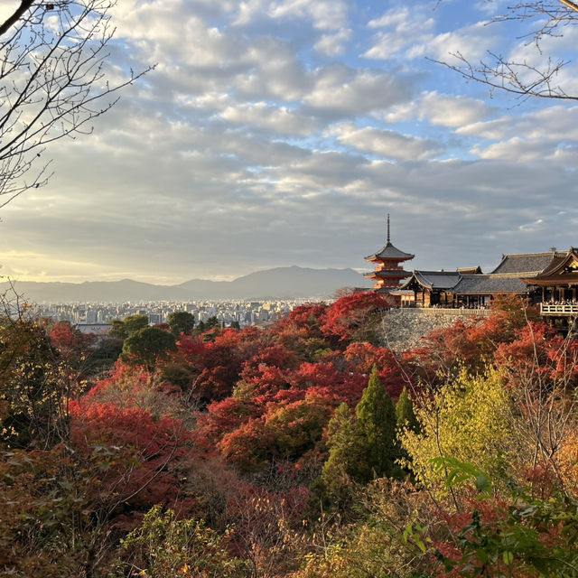 紅葉シーズンの京都
