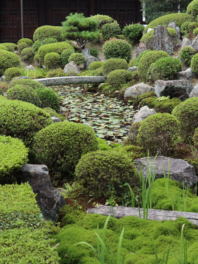 Step Into Serenity: The Enchanting Arashiyama Bamboo Forest
