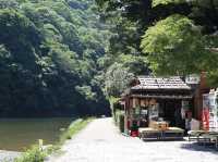 Experience the Timeless Beauty of Arashiyama in Kyoto