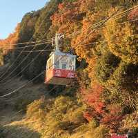 八幡山纜車上山後就是漂亮的楓葉