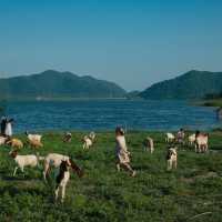 “ปราณบุรี”มุมนี้ทั้งสวยทั้งชิลฟีลตปทมากกก🐑🏞🐐 