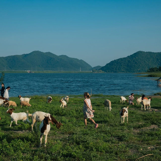 “ปราณบุรี”มุมนี้ทั้งสวยทั้งชิลฟีลตปทมากกก🐑🏞🐐 