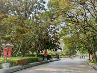 People's Square 