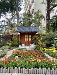 🏝️😎如熱帶雨林般的「城門谷公園」｜香港賞花拍照好地方🔥🏞️