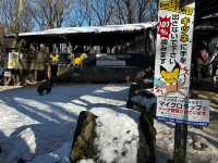 【宮城蔵王キツネ村】