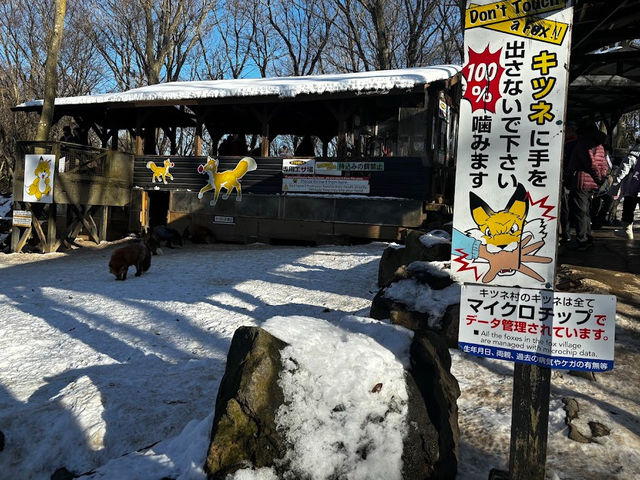 【宮城蔵王キツネ村】