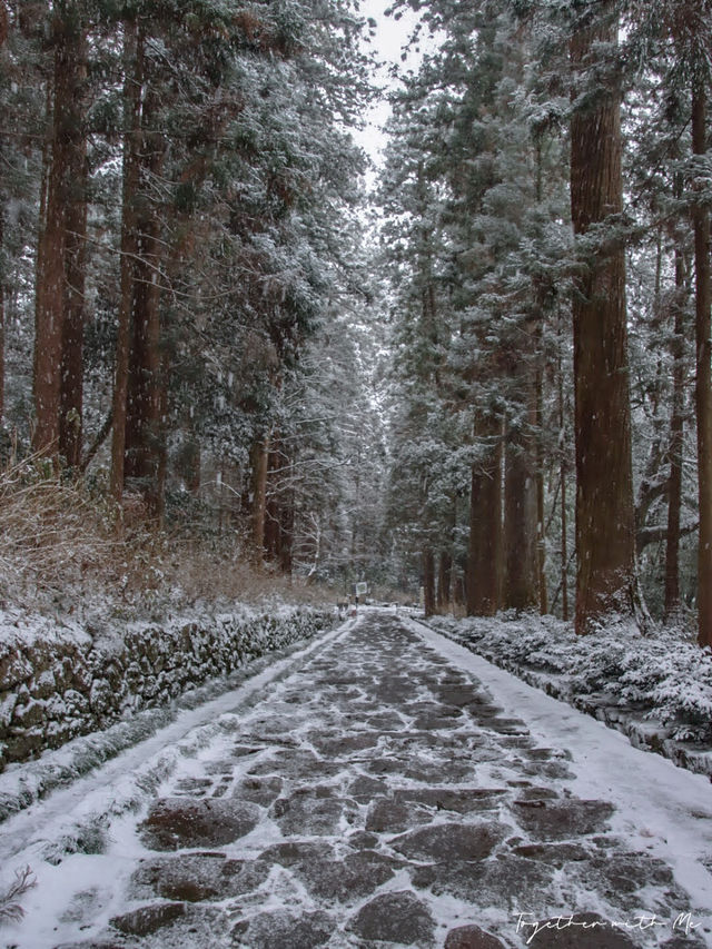 Sendai ในวันที่หิมะโปรยปราย~🌨️❄️🇯🇵