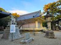 Oyama Ryokuchi Park大山緑地 ไหว้ศาลเจ้าขอพร