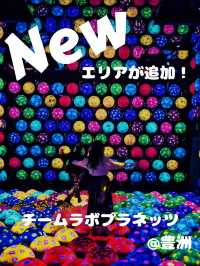 【大規模拡大‼️】チームラボがリニューアルして再登場👏✨@豊洲