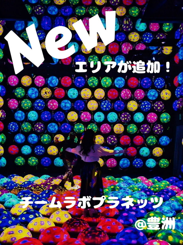 【大規模拡大‼️】チームラボがリニューアルして再登場👏✨@豊洲