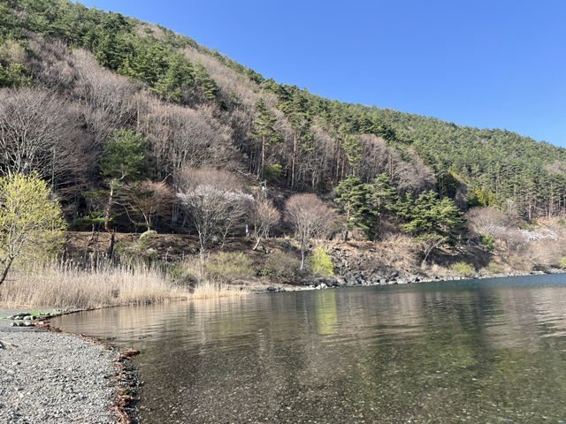 Lake Saiko 