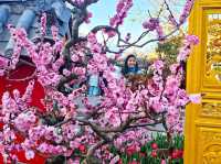 From Ancient Towns to Snowy Peaks: A 7-Day Adventure in Yunnan