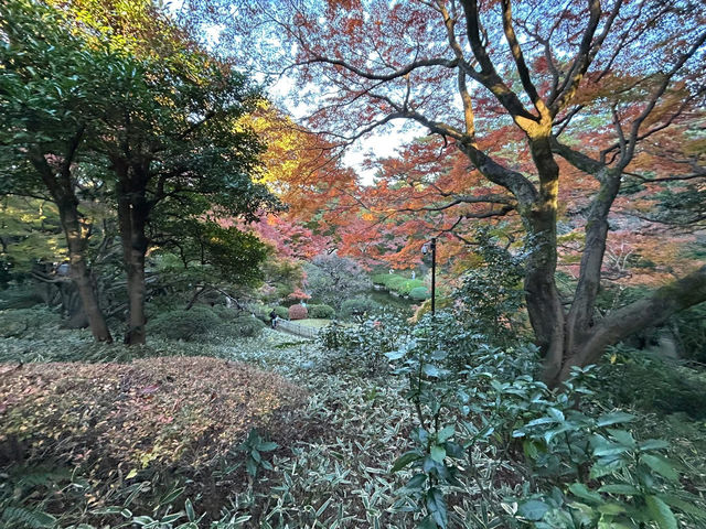 喜歡自在慢遊的夥伴，相信會喜歡「東京庭園美術園」