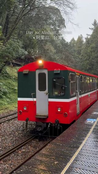 Lost in the Clouds: Exploring Alishan’s Mystical Beauty