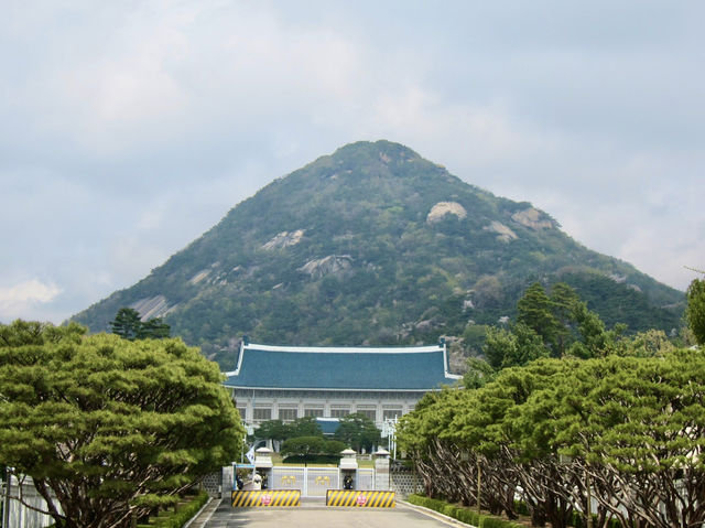 A Timeless Journey Through Korea’s Royal Legacy