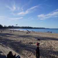 悉尼最受歡迎的海灘之一 - 曼利海灘 Manly Beach