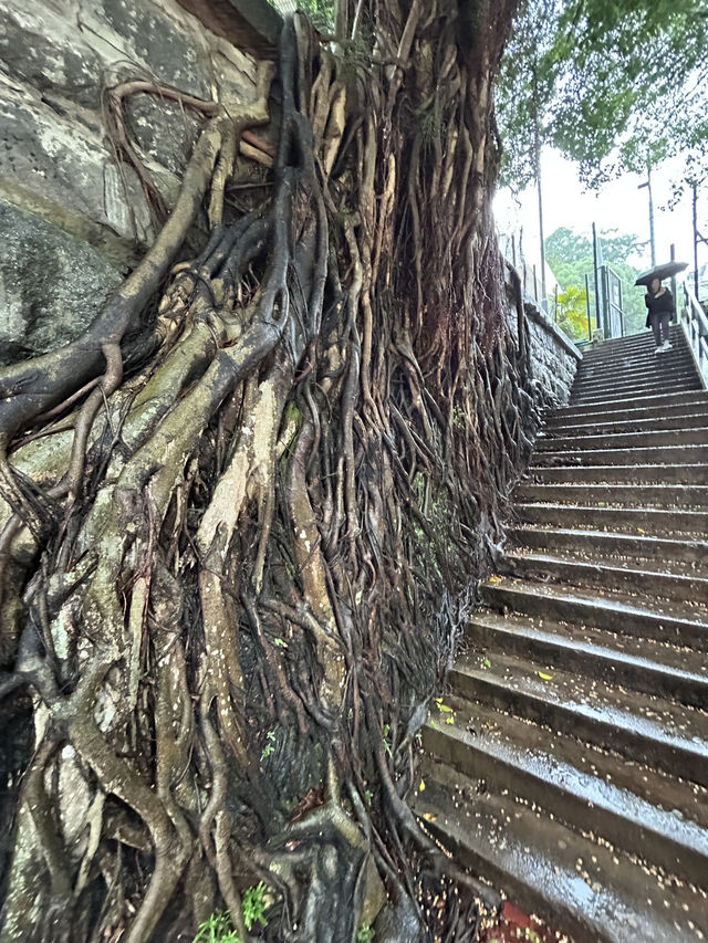 🇭🇰香港| 堅尼地城網紅打卡+寶藏咖啡店