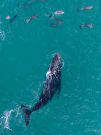 Moreton Island