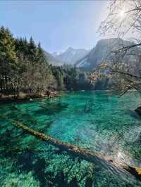 四川九寨溝‐一生人必去的旅遊勝地，打卡超出片！📷 實在是太美了🤩