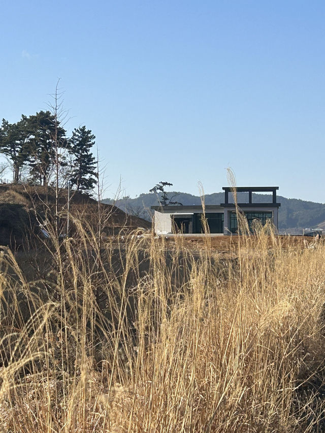 서산 싱그러운 자연이 가득한 카페 호리 🌿🌱☘️