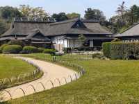 岡山必遊，日本三大名園之「後樂園」