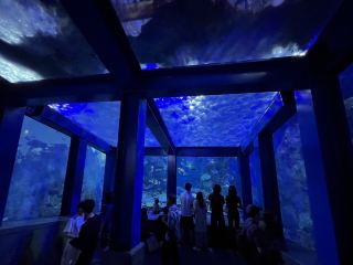 鳥羽水族館@三重縣・鳥羽